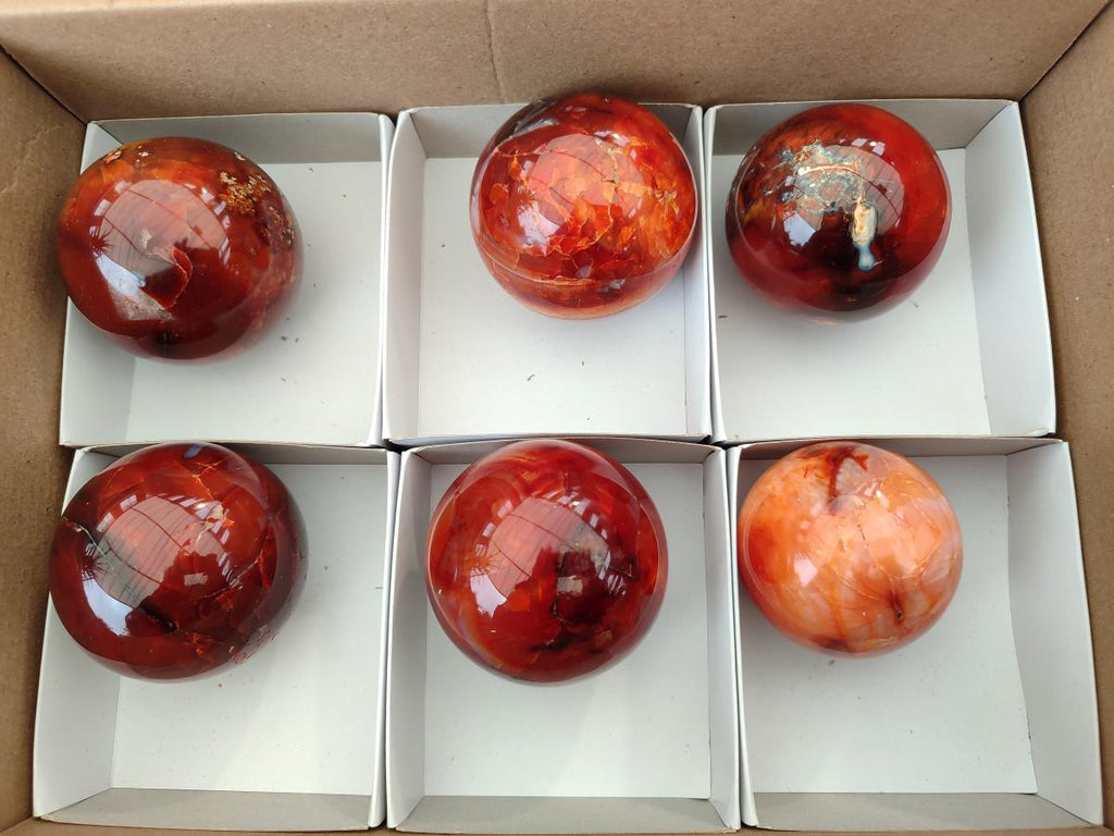 Polished Carnelian Agate Gemstone Spheres x 6 From Madagascar