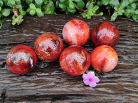 Polished Carnelian Agate Gemstone Spheres x 6 From Madagascar