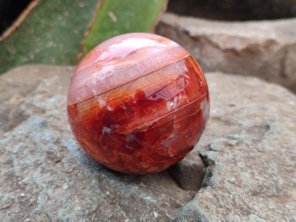 Polished Carnelian Agate Gemstone Spheres x 6 From Madagascar