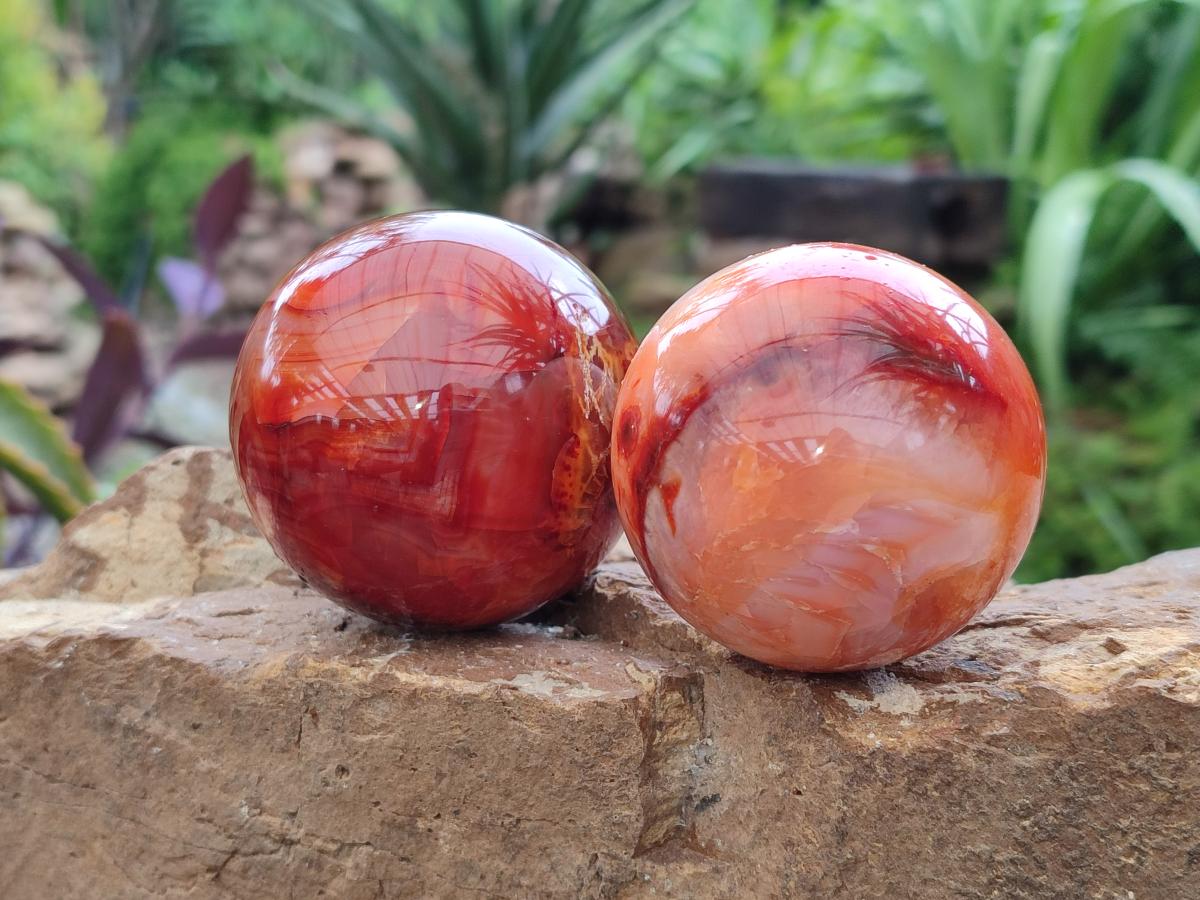 Polished Carnelian Agate Gemstone Spheres x 6 From Madagascar
