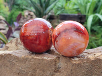 Polished Carnelian Agate Gemstone Spheres x 6 From Madagascar
