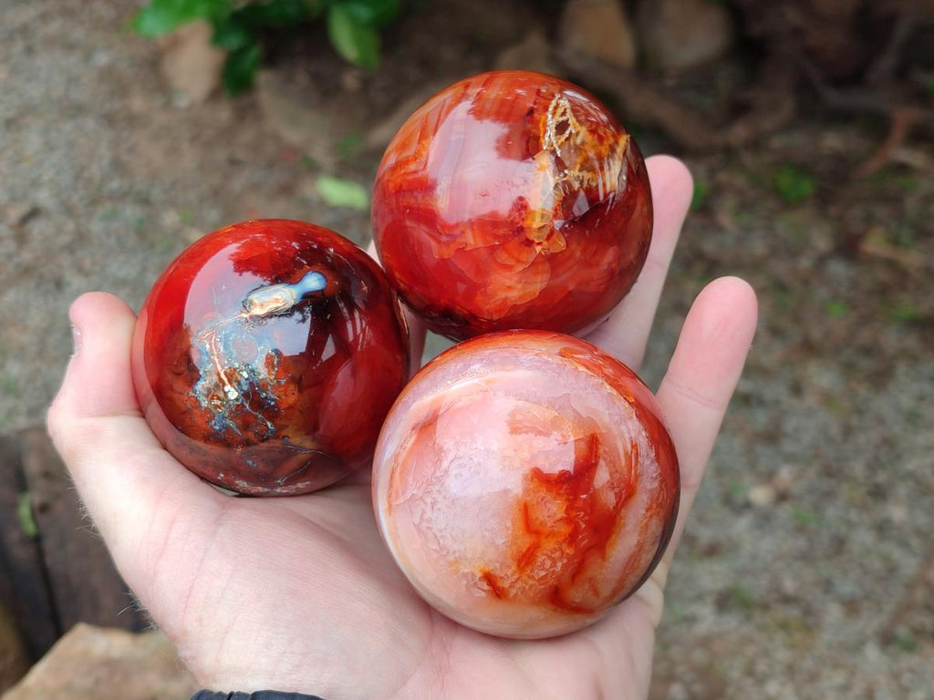 Polished Carnelian Agate Gemstone Spheres x 6 From Madagascar