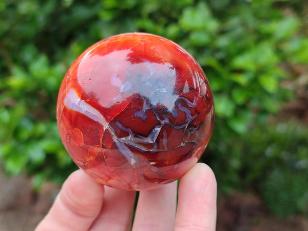 Polished Carnelian Agate Gemstone Spheres x 6 From Madagascar