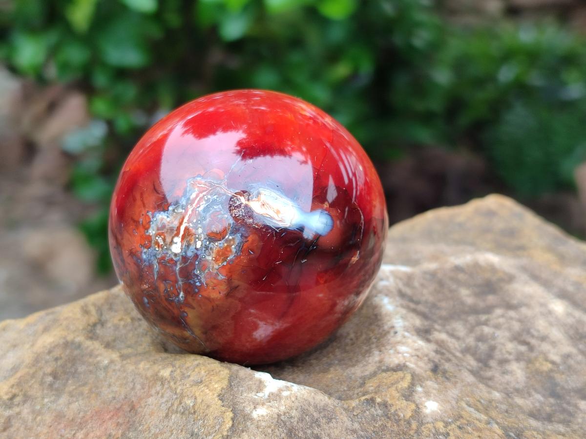 Polished Carnelian Agate Gemstone Spheres x 6 From Madagascar