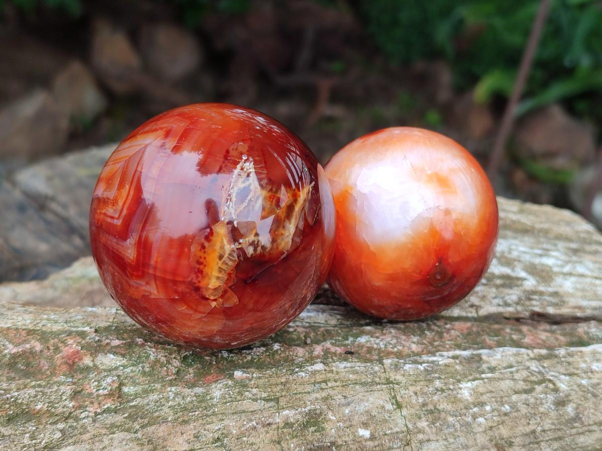 Polished Carnelian Agate Gemstone Spheres x 6 From Madagascar