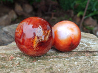 Polished Carnelian Agate Gemstone Spheres x 6 From Madagascar
