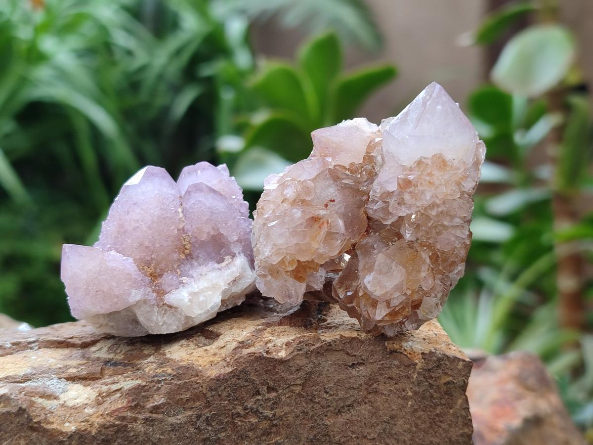 Natural Limonite Fairy Spirit Quartz and Ametrine Crystals and Clusters x 20 From Boekenhouthoek, South Africa