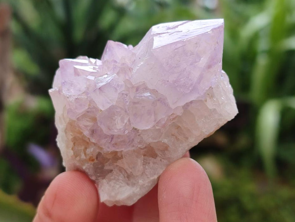 Natural Limonite Fairy Spirit Quartz and Ametrine Crystals and Clusters x 20 From Boekenhouthoek, South Africa