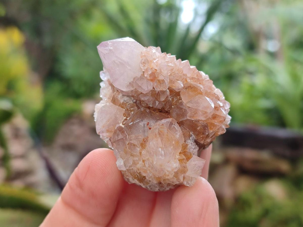 Natural Limonite Fairy Spirit Quartz and Ametrine Crystals and Clusters x 20 From Boekenhouthoek, South Africa