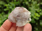 Natural Limonite Fairy Spirit Quartz and Ametrine Crystals and Clusters x 20 From Boekenhouthoek, South Africa