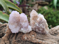 Natural Limonite Fairy Spirit Quartz and Ametrine Crystals and Clusters x 20 From Boekenhouthoek, South Africa