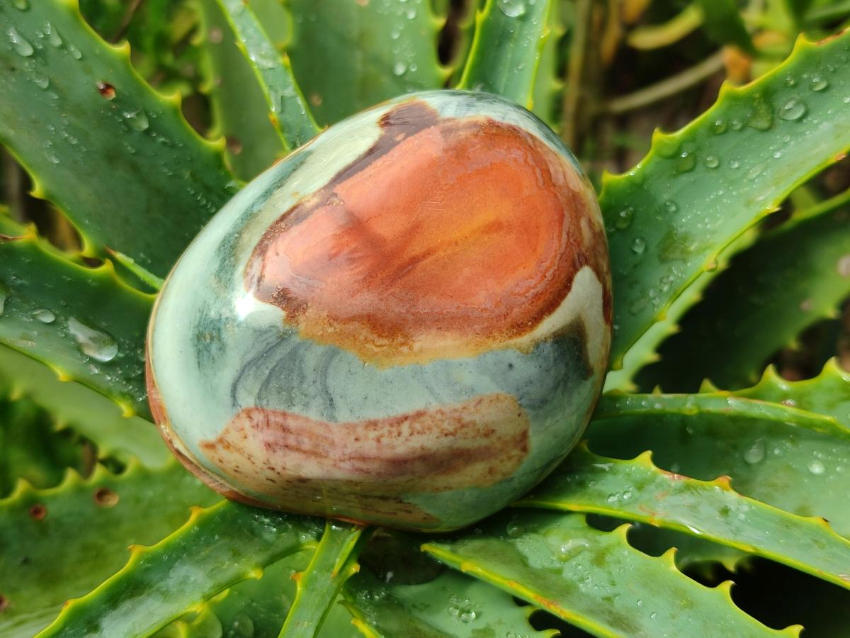 Polished On One Side Polychrome Jasper Nodules x 6 From NW Coast, Madagascar