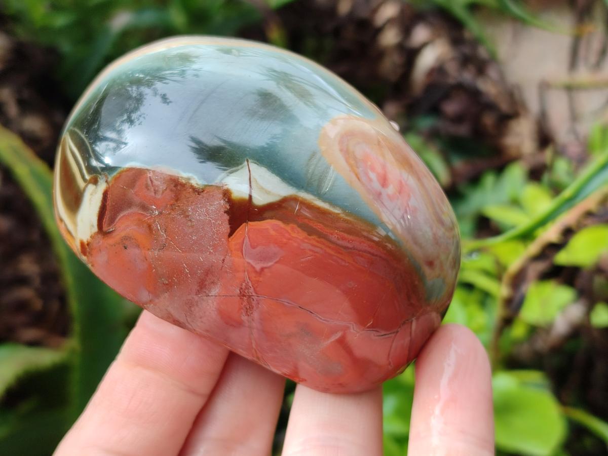 Polished On One Side Polychrome Jasper Nodules x 6 From NW Coast, Madagascar