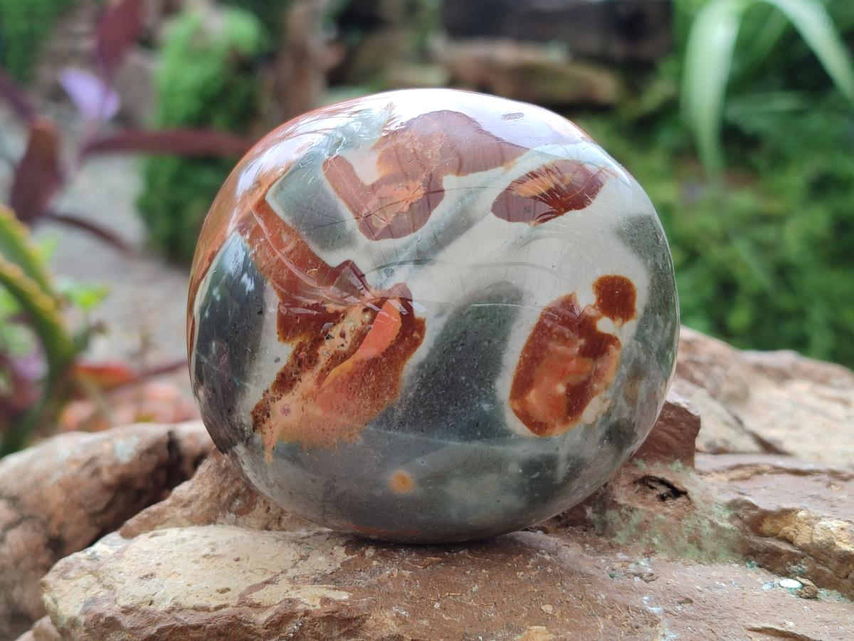 Polished On One Side Polychrome Jasper Nodules x 6 From NW Coast, Madagascar