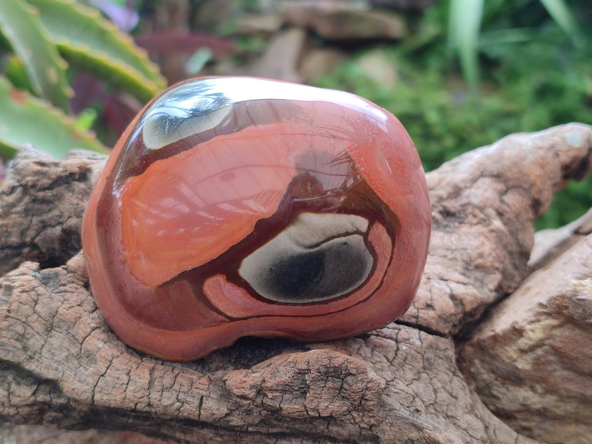 Polished On One Side Polychrome Jasper Nodules x 6 From NW Coast, Madagascar