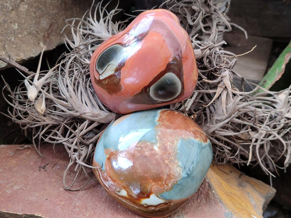 Polished On One Side Polychrome Jasper Nodules x 6 From NW Coast, Madagascar