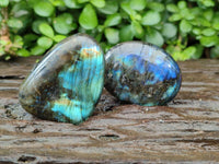 Polished Mixed Selected Multi Mineral Galets x 24 From Madagascar