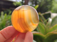 Polished Mixed Selected Multi Mineral Galets x 24 From Madagascar