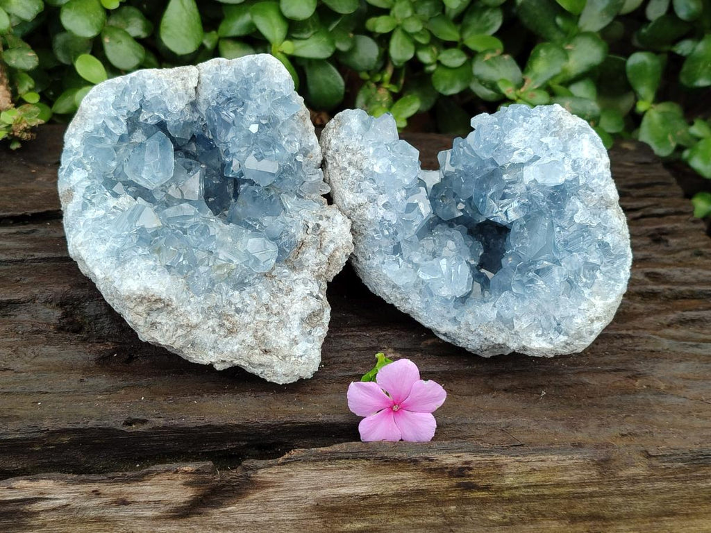 Natural Blue Celestite Geode Specimens x 2 From Sakoany, Madagascar