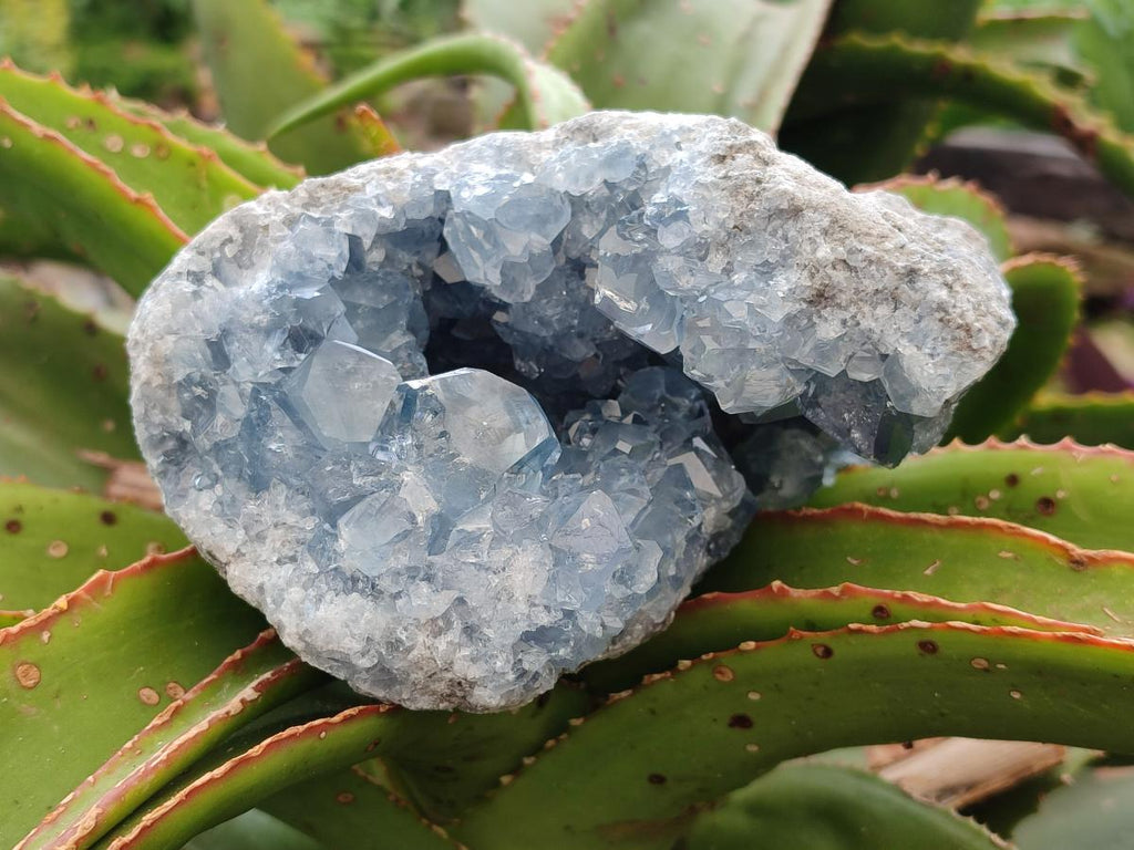 Natural Blue Celestite Geode Specimens x 2 From Sakoany, Madagascar