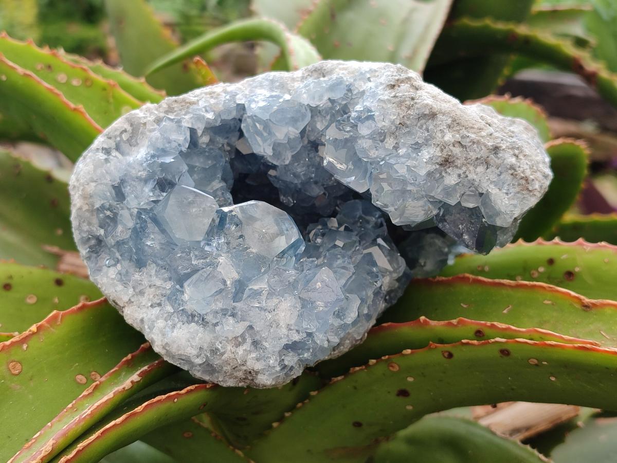 Natural Blue Celestite Geode Specimens x 2 From Sakoany, Madagascar