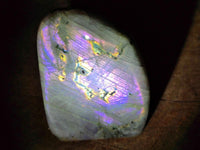 Polished Rare Purple Sunset Flash Labradorite Standing Free Forms x 2 From Madagascar