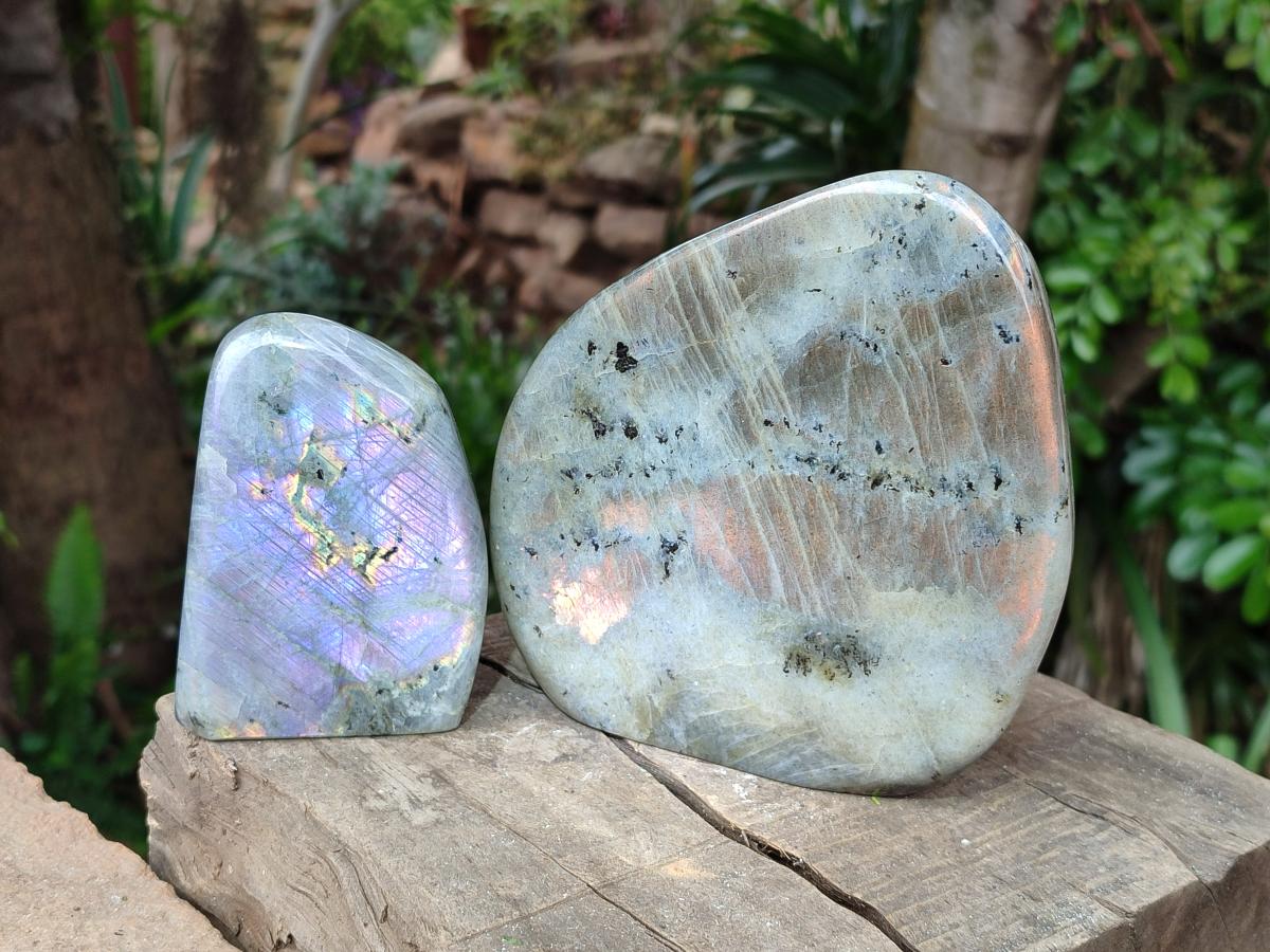 Polished Rare Purple Sunset Flash Labradorite Standing Free Forms x 2 From Madagascar