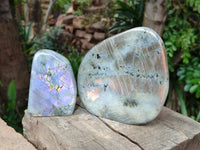 Polished Rare Purple Sunset Flash Labradorite Standing Free Forms x 2 From Madagascar
