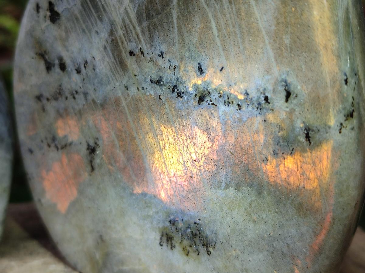 Polished Rare Purple Sunset Flash Labradorite Standing Free Forms x 2 From Madagascar