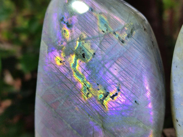 Polished Rare Purple Sunset Flash Labradorite Standing Free Forms x 2 From Madagascar