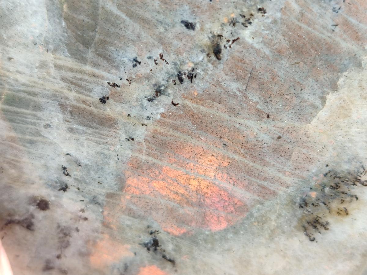 Polished Rare Purple Sunset Flash Labradorite Standing Free Forms x 2 From Madagascar