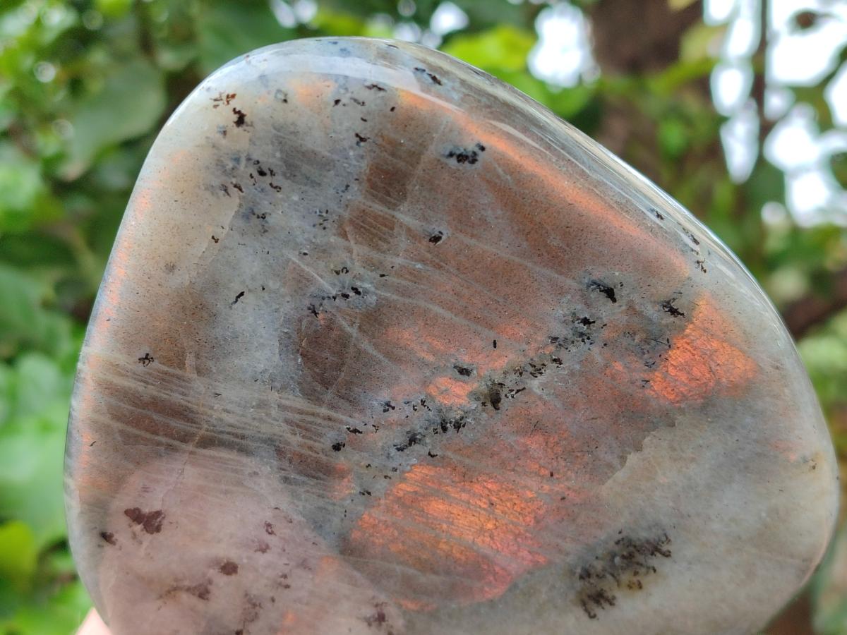 Polished Rare Purple Sunset Flash Labradorite Standing Free Forms x 2 From Madagascar