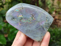 Polished Rare Purple Sunset Flash Labradorite Standing Free Forms x 2 From Madagascar