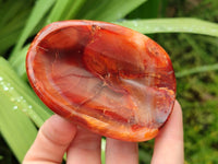 Polished Carnelian Agate Gemstone Bowls x 6 From Madagascar