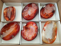 Polished Carnelian Agate Gemstone Bowls x 6 From Madagascar