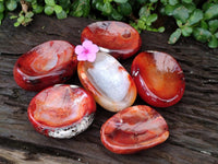 Polished Carnelian Agate Gemstone Bowls x 6 From Madagascar