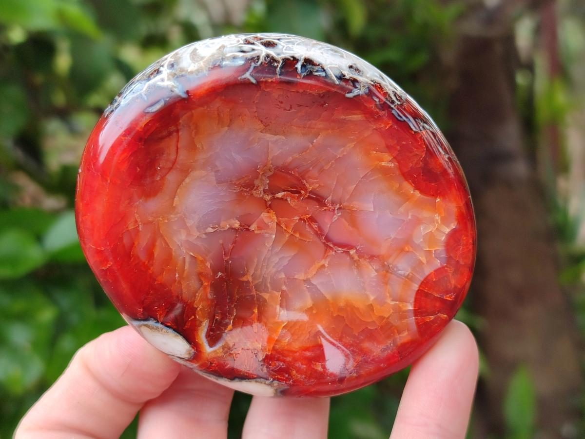 Polished Carnelian Agate Gemstone Bowls x 6 From Madagascar