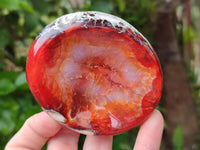 Polished Carnelian Agate Gemstone Bowls x 6 From Madagascar