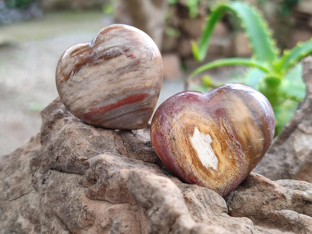 Polished Red Podocarpus Petrified Wood Hearts x 20 From Mahajanga, Madagascar