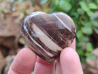 Polished Red Podocarpus Petrified Wood Hearts x 20 From Mahajanga, Madagascar