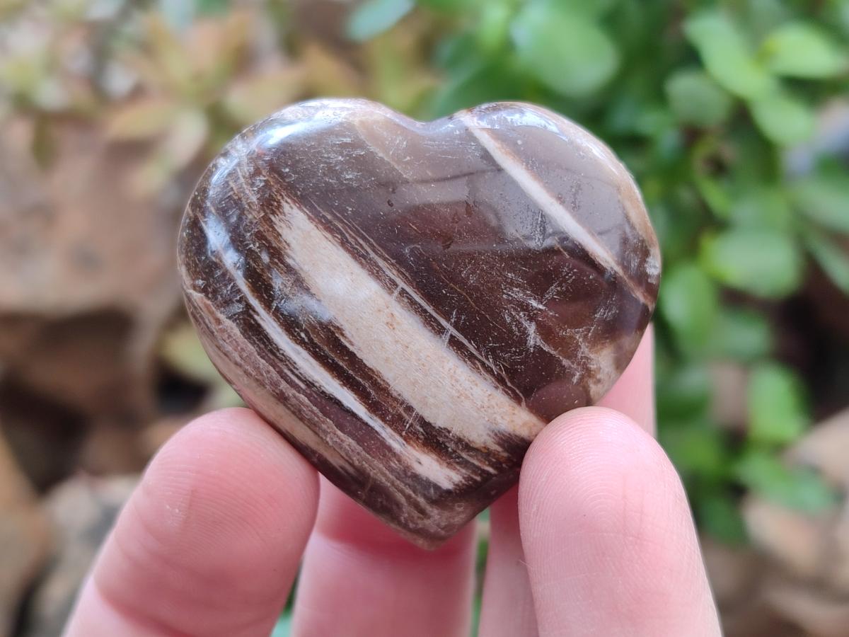 Polished Red Podocarpus Petrified Wood Hearts x 20 From Mahajanga, Madagascar