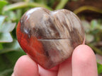Polished Red Podocarpus Petrified Wood Hearts x 20 From Mahajanga, Madagascar