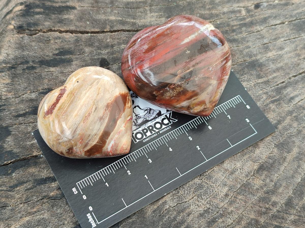 Polished Red Podocarpus Petrified Wood Hearts x 20 From Mahajanga, Madagascar
