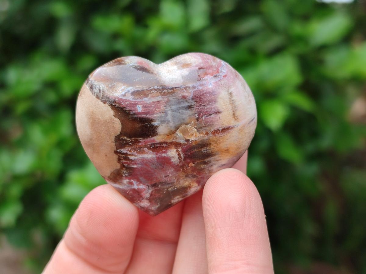 Polished Red Podocarpus Petrified Wood Hearts x 20 From Mahajanga, Madagascar