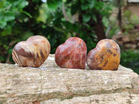 Polished Red Podocarpus Petrified Wood Hearts x 20 From Mahajanga, Madagascar