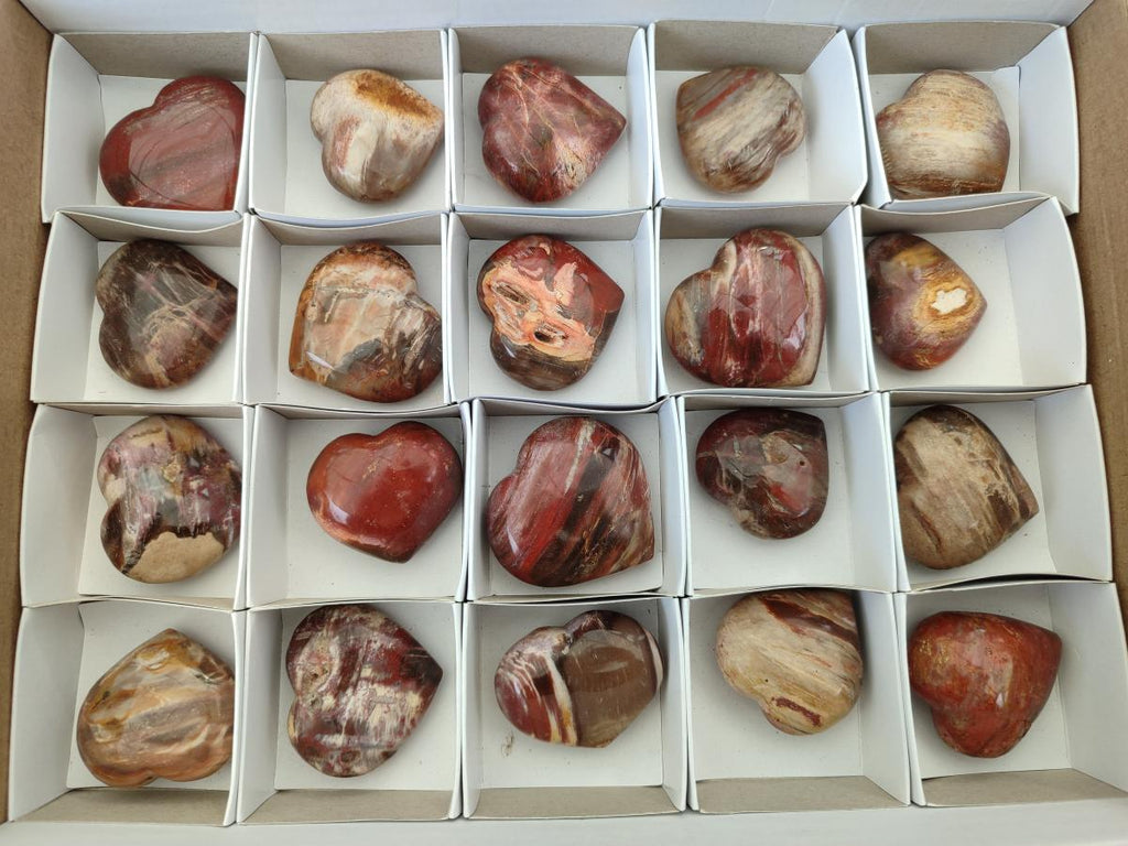 Polished Red Podocarpus Petrified Wood Hearts x 20 From Mahajanga, Madagascar
