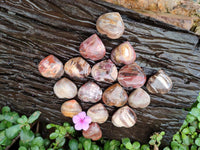 Polished Red Podocarpus Petrified Wood Hearts x 20 From Mahajanga, Madagascar