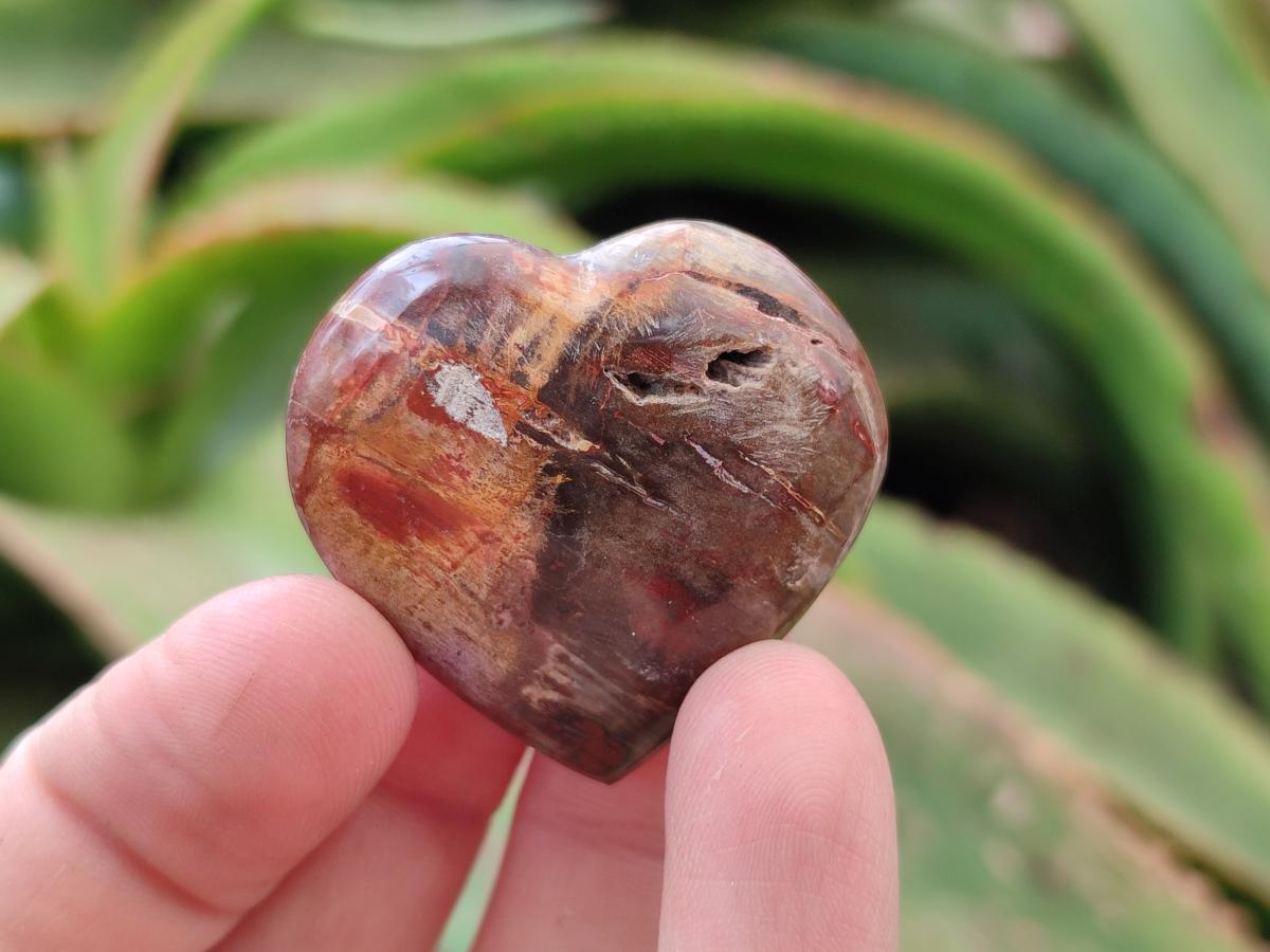 Polished Red Podocarpus Petrified Wood Hearts x 20 From Mahajanga, Madagascar