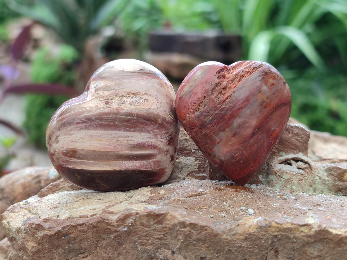 Polished Red Podocarpus Petrified Wood Hearts x 20 From Mahajanga, Madagascar