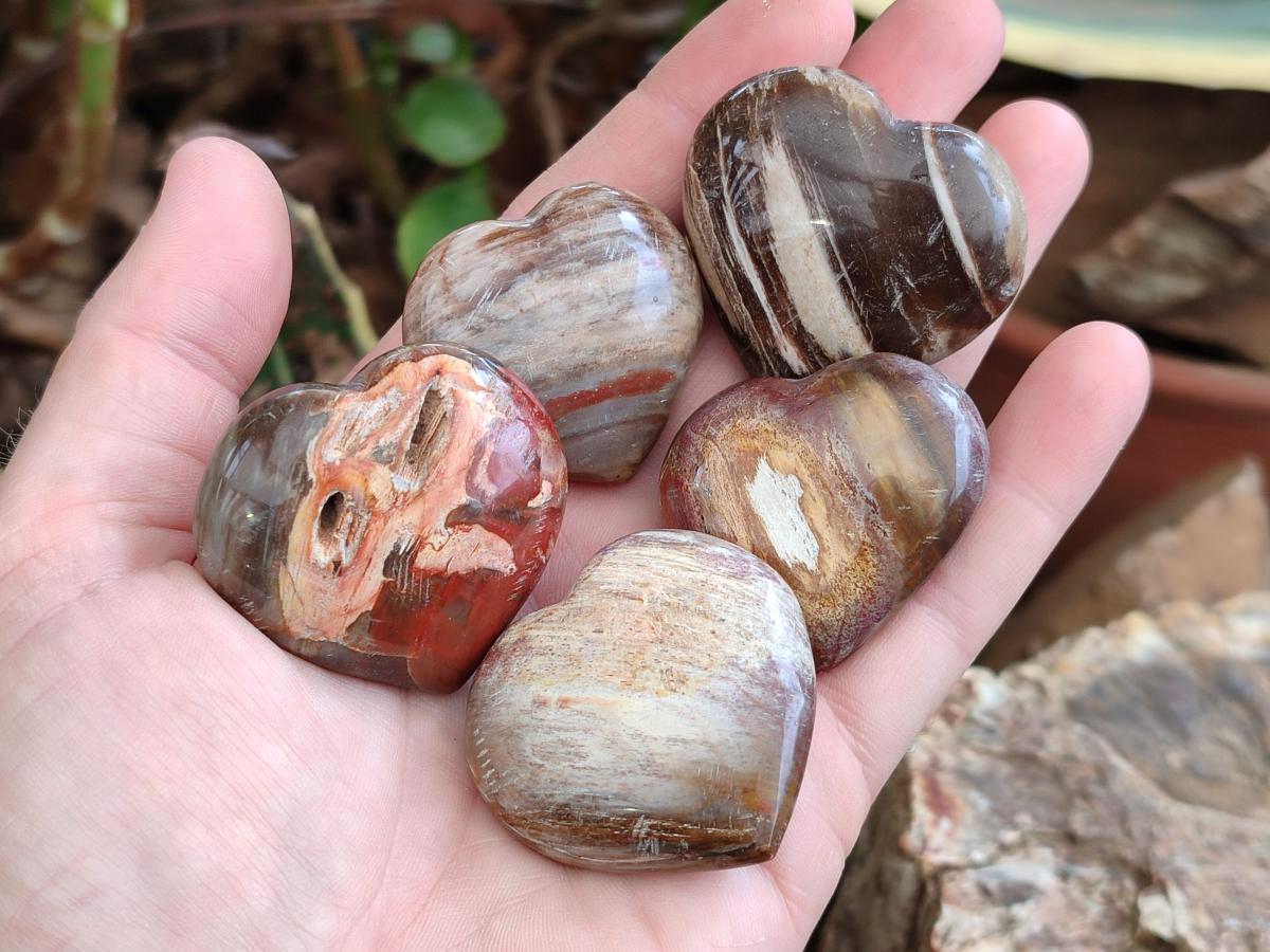Polished Red Podocarpus Petrified Wood Hearts x 20 From Mahajanga, Madagascar